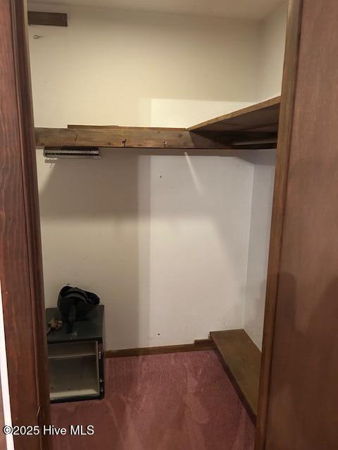 100531539 | Photo 26