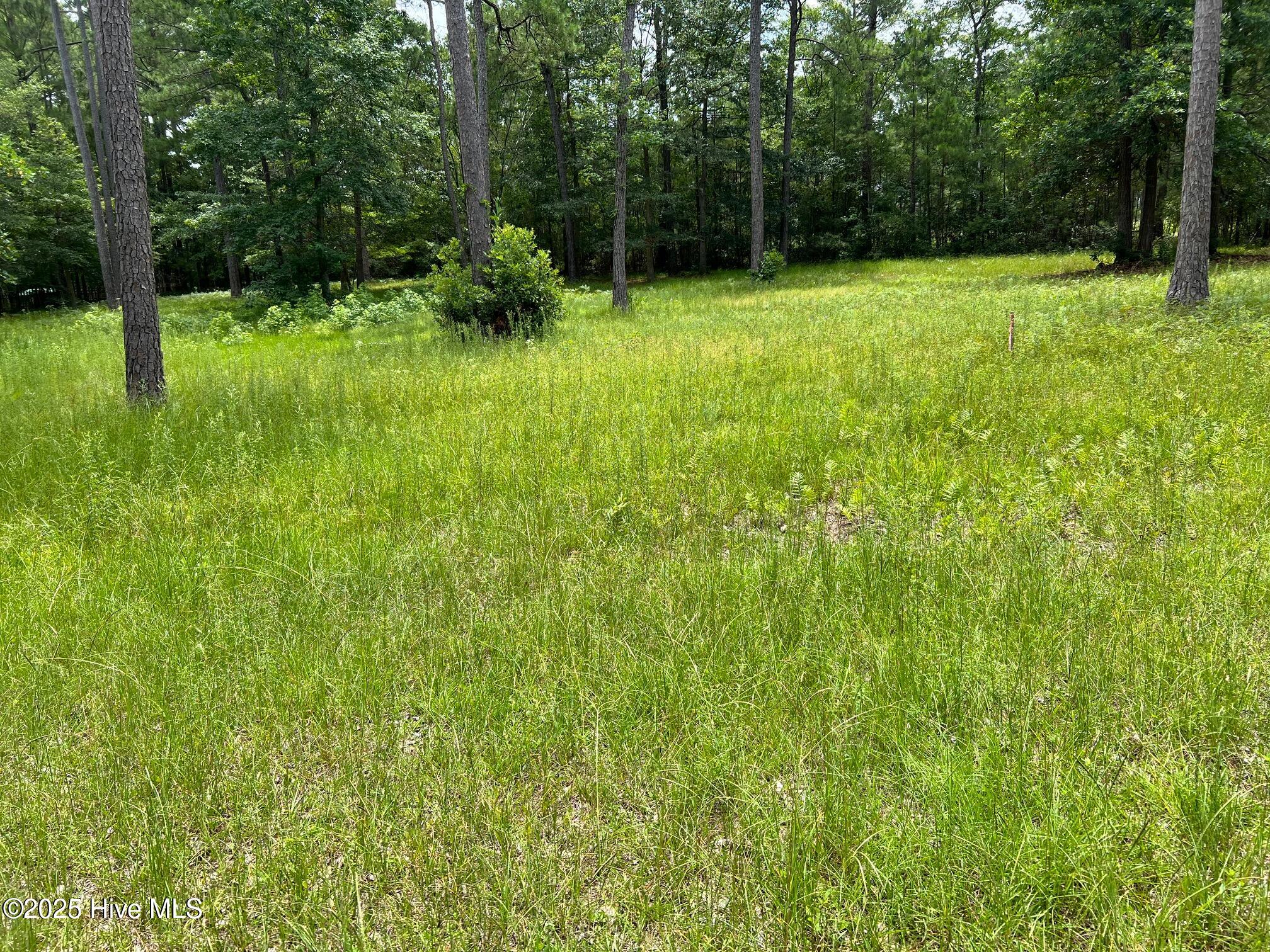 8016 N Balfour Drive NW, Calabash, NC, 28467 8016 N Balfour Drive NW, Calabash, NC, 28467
