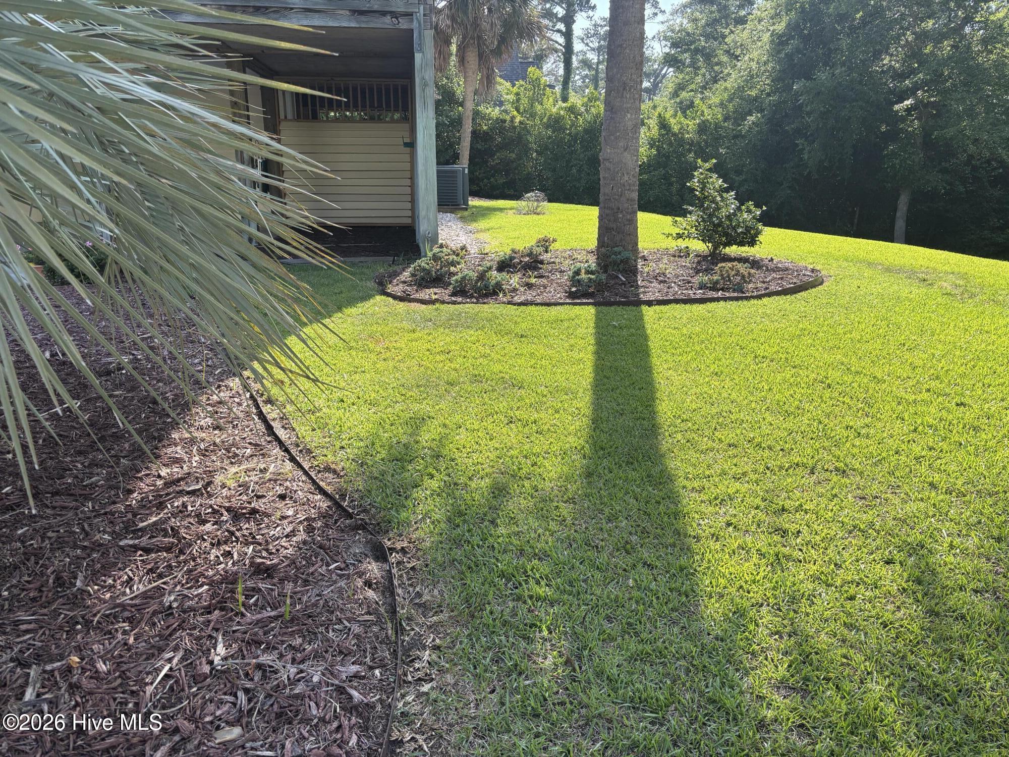 100560491 | Photo 15