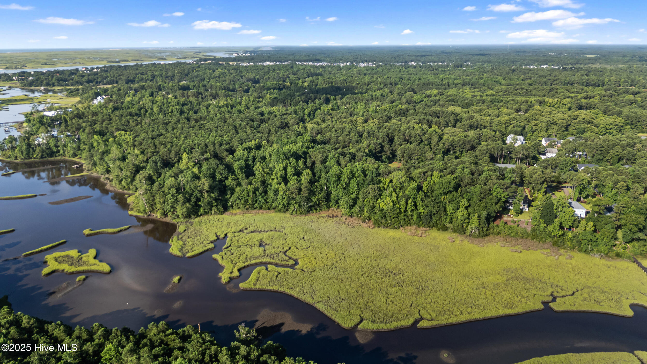 100518593 | Photo 80