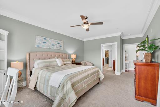 100531498 | Photo 14