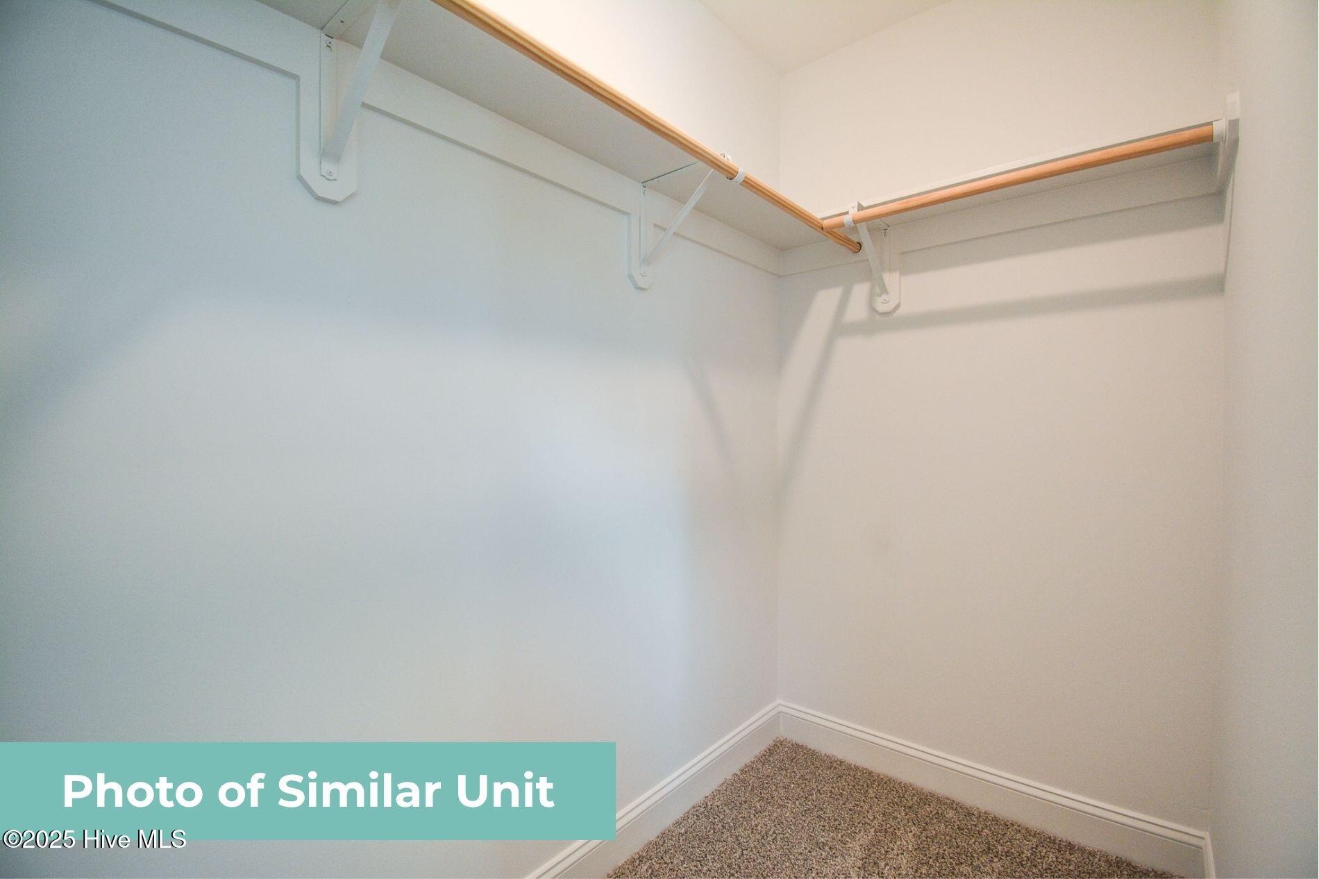 232 Sandy Cove Lane, Sneads Ferry, NC 28460 – photo 19: Primary Bedroom Closet