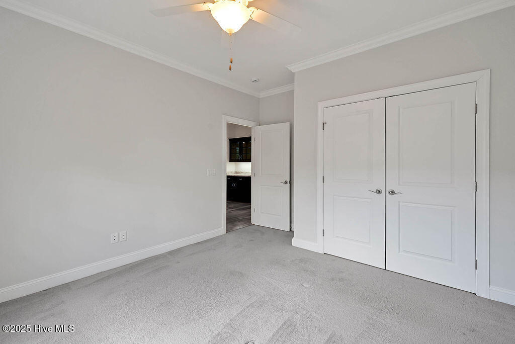 100550023 | Photo 21