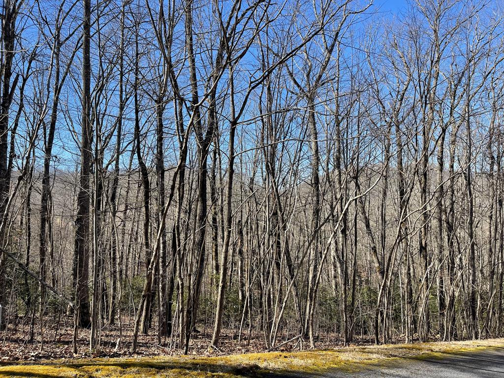 Listing Photo 98524585