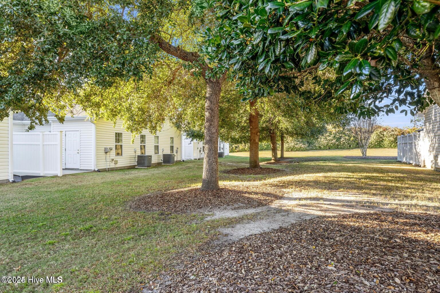 100546726 | Photo 31