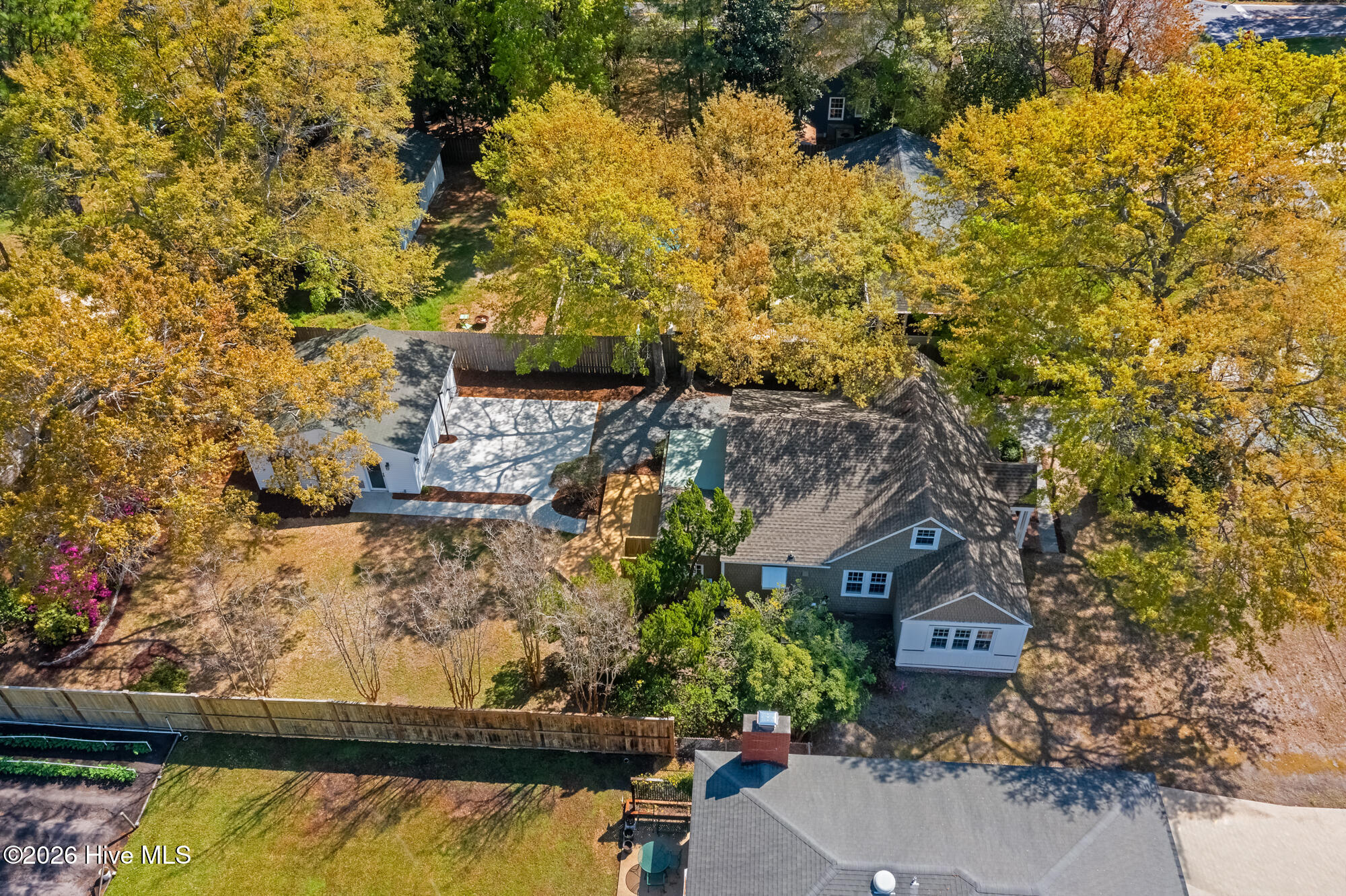 100564809 | Photo 27