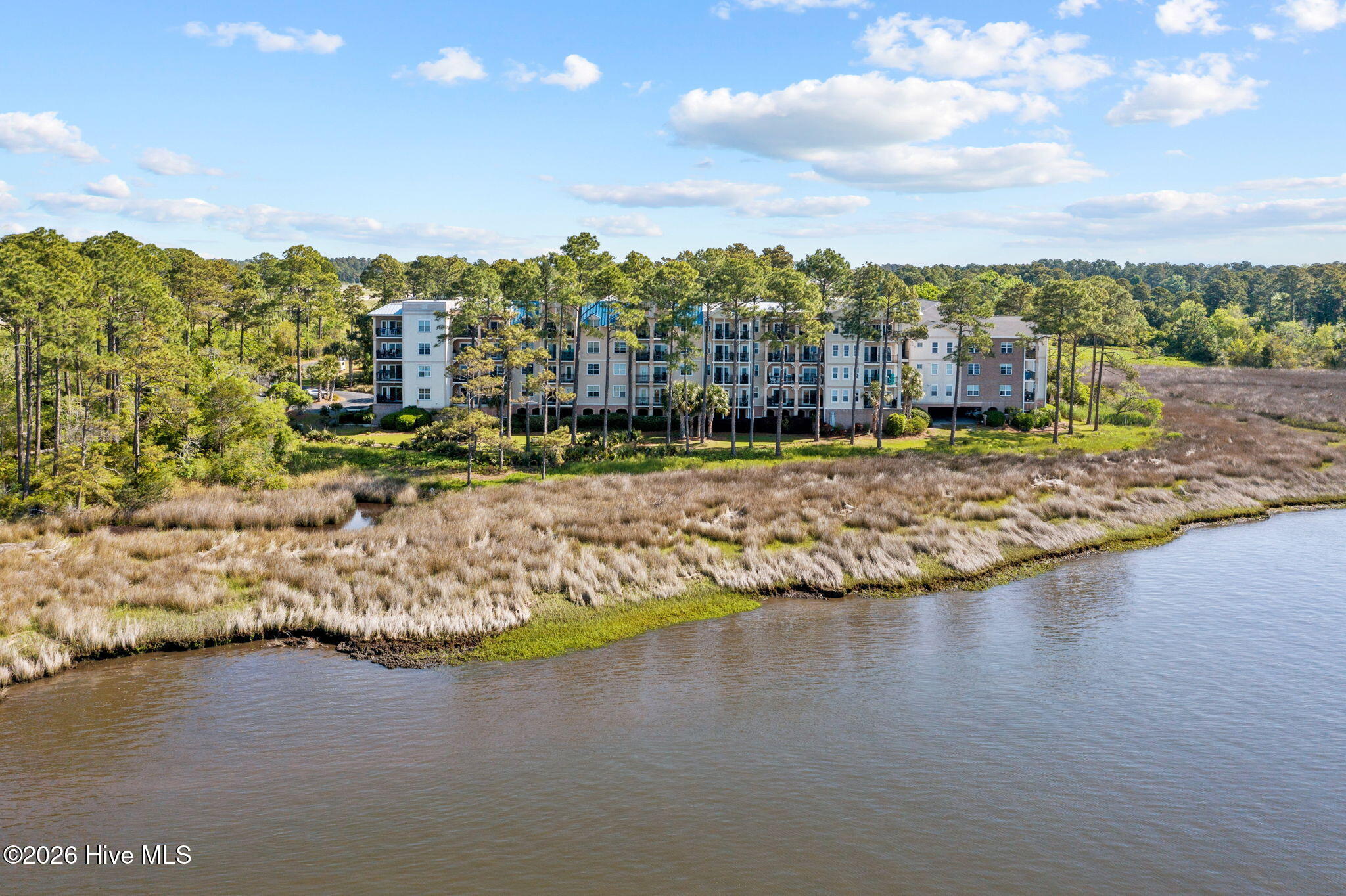 100558895 | Photo 92