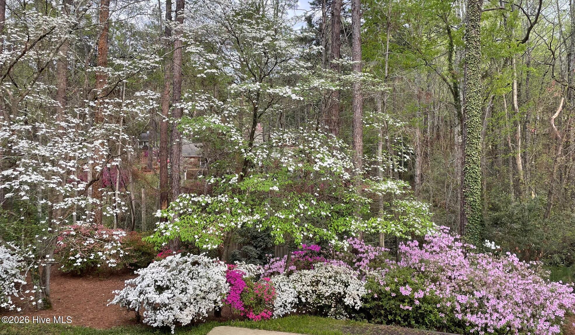 Homes for sale in Southern Pines, NC | 957 Sandavis Rd, Southern Pines, NC 28387 | MLS# 100561462