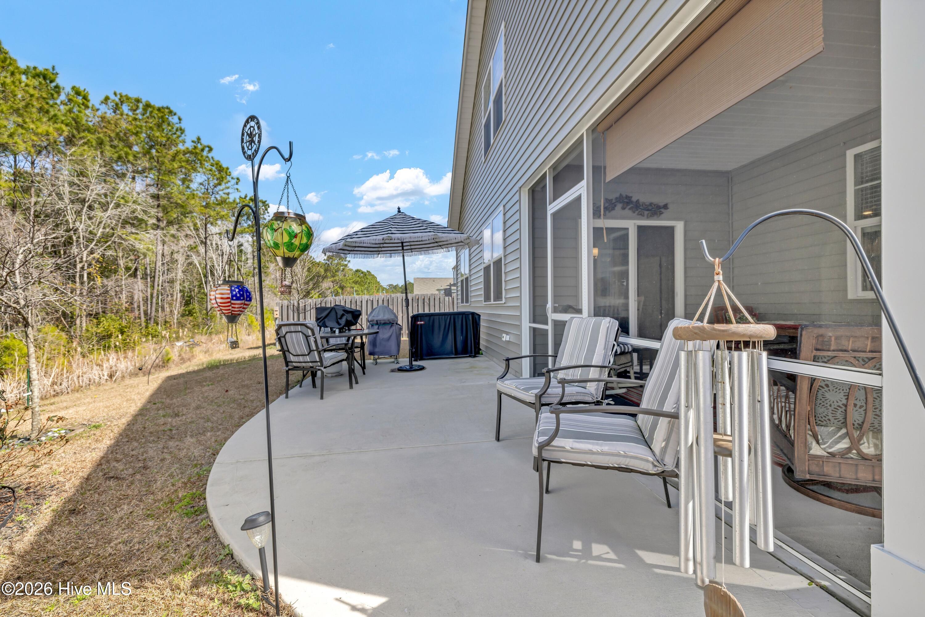 100558362 | Photo 31