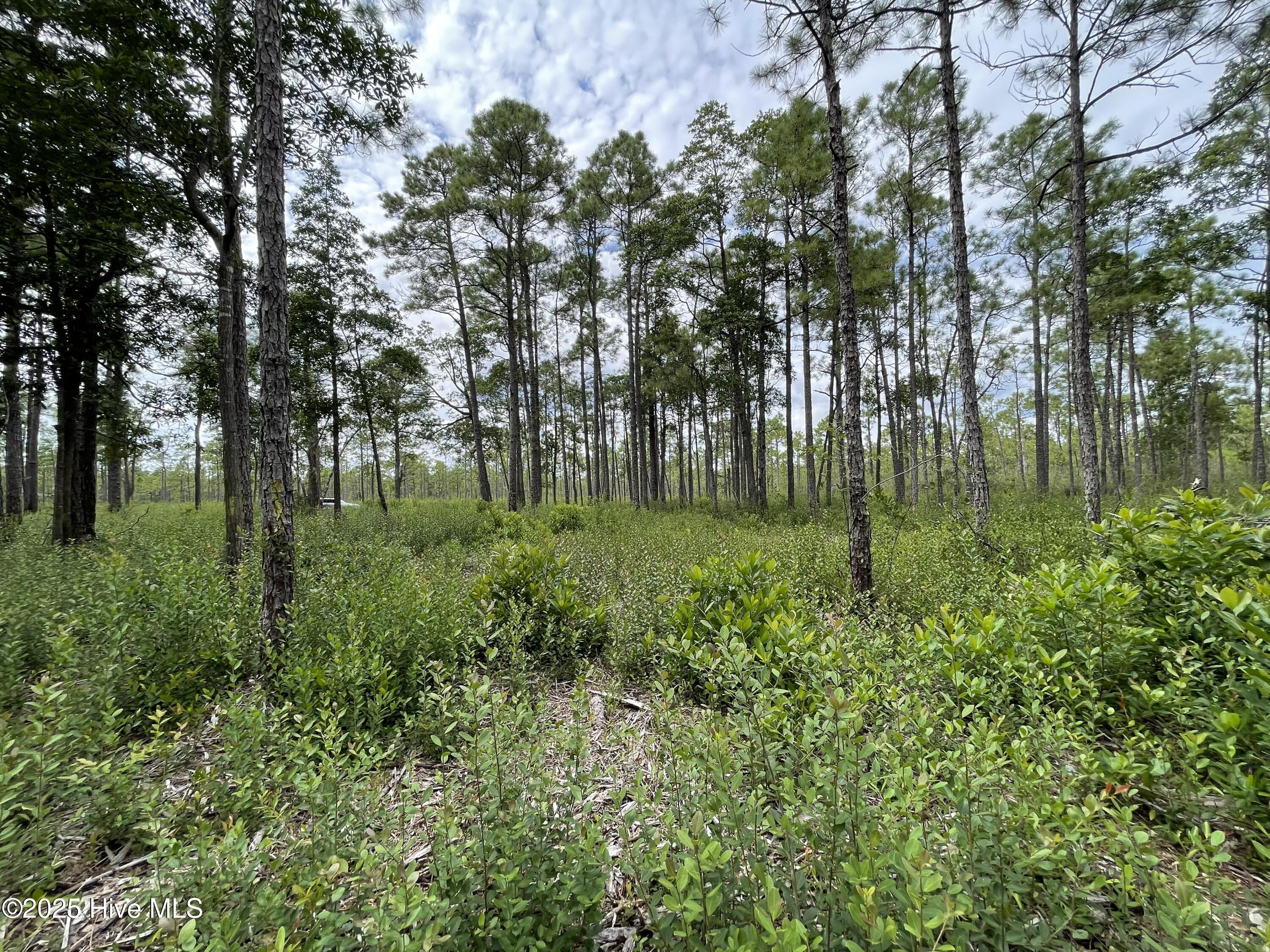 100527891 | Photo 22