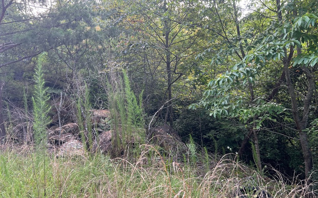 Exterior photo of Lot 11 The Preserve, Brasstown, NC 28902. MLS: 98524582