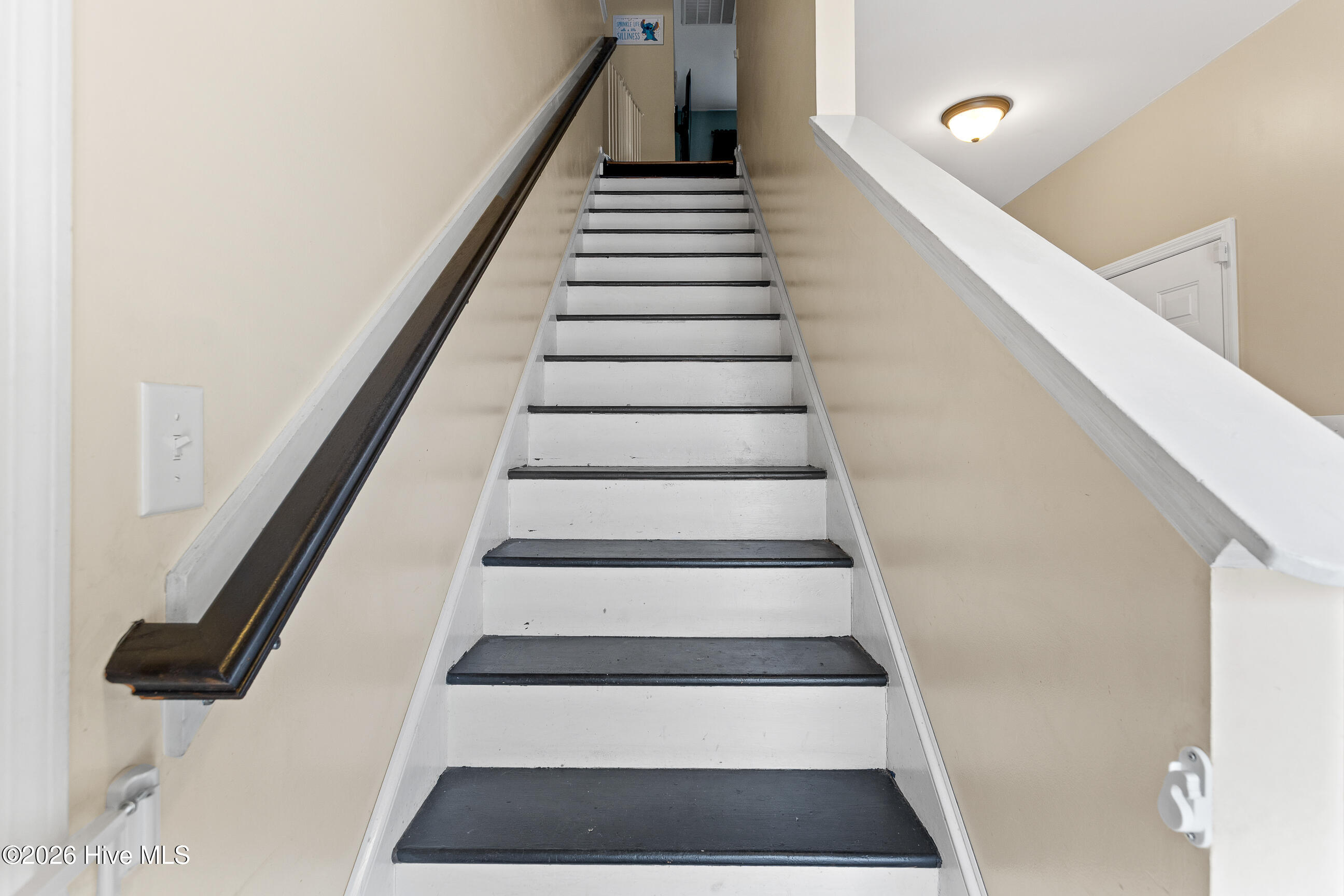 100556094 | Photo 16