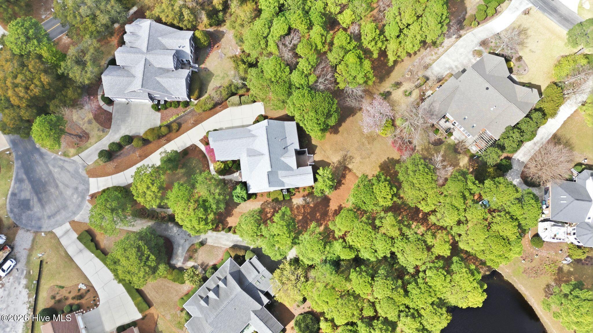 100564231 | Photo 78