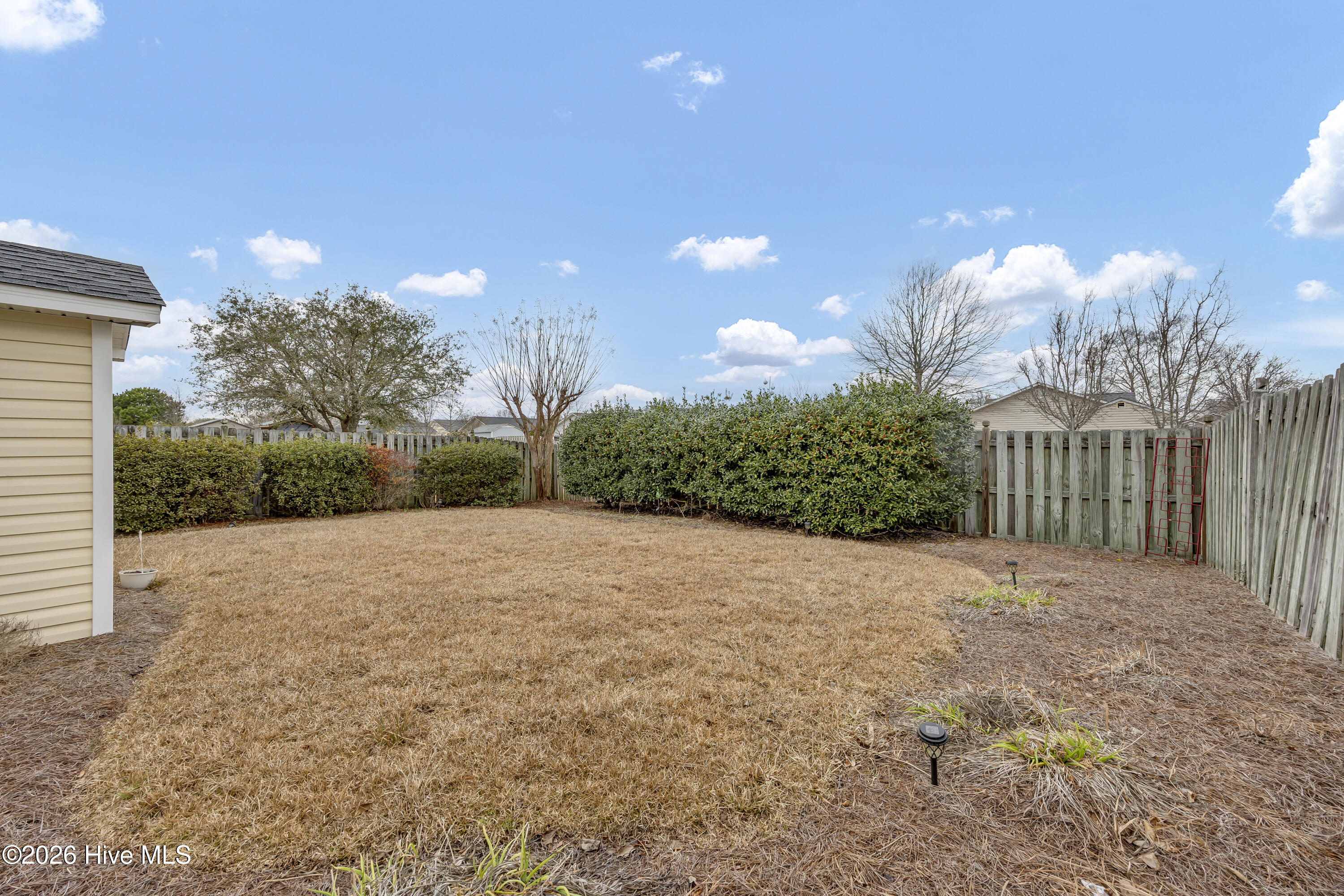 100557112 | Photo 23