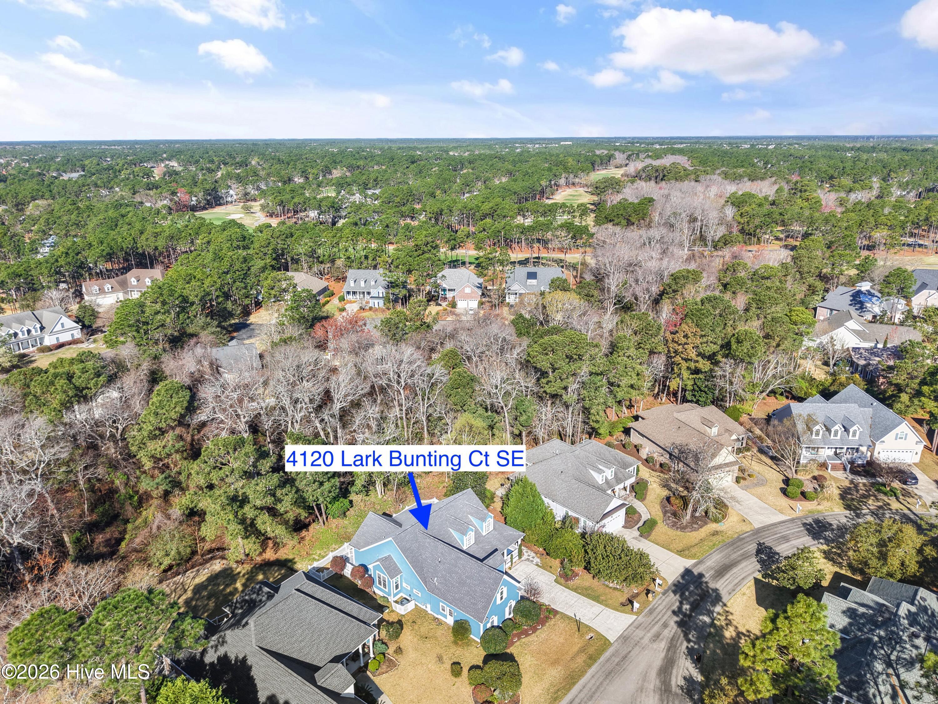 100561490 | Photo 58