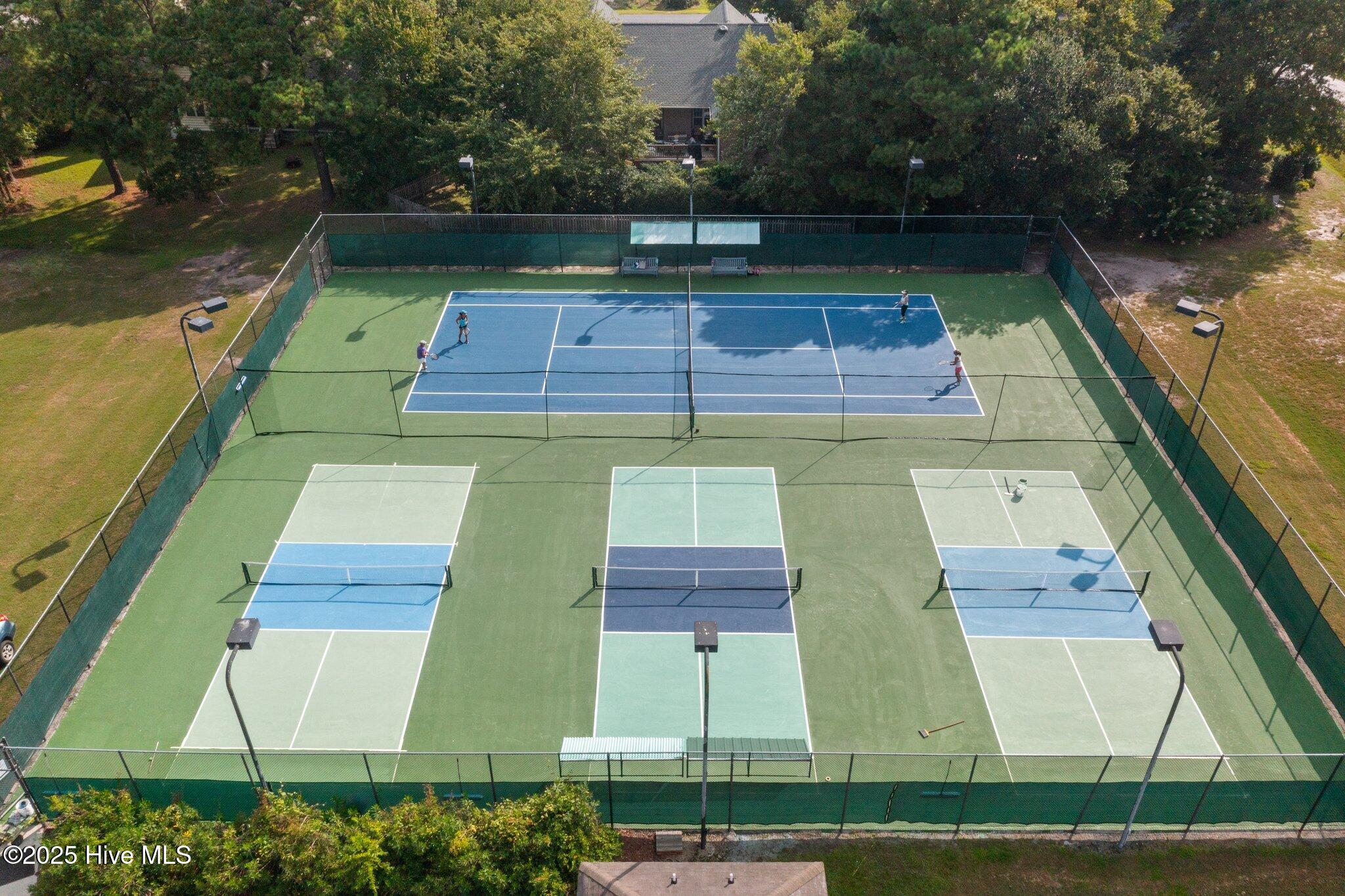 100559158 | Photo 47