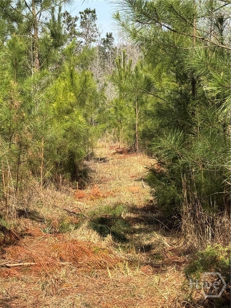 738 Old Mineral Springs Road, Elberton, GA, 30635