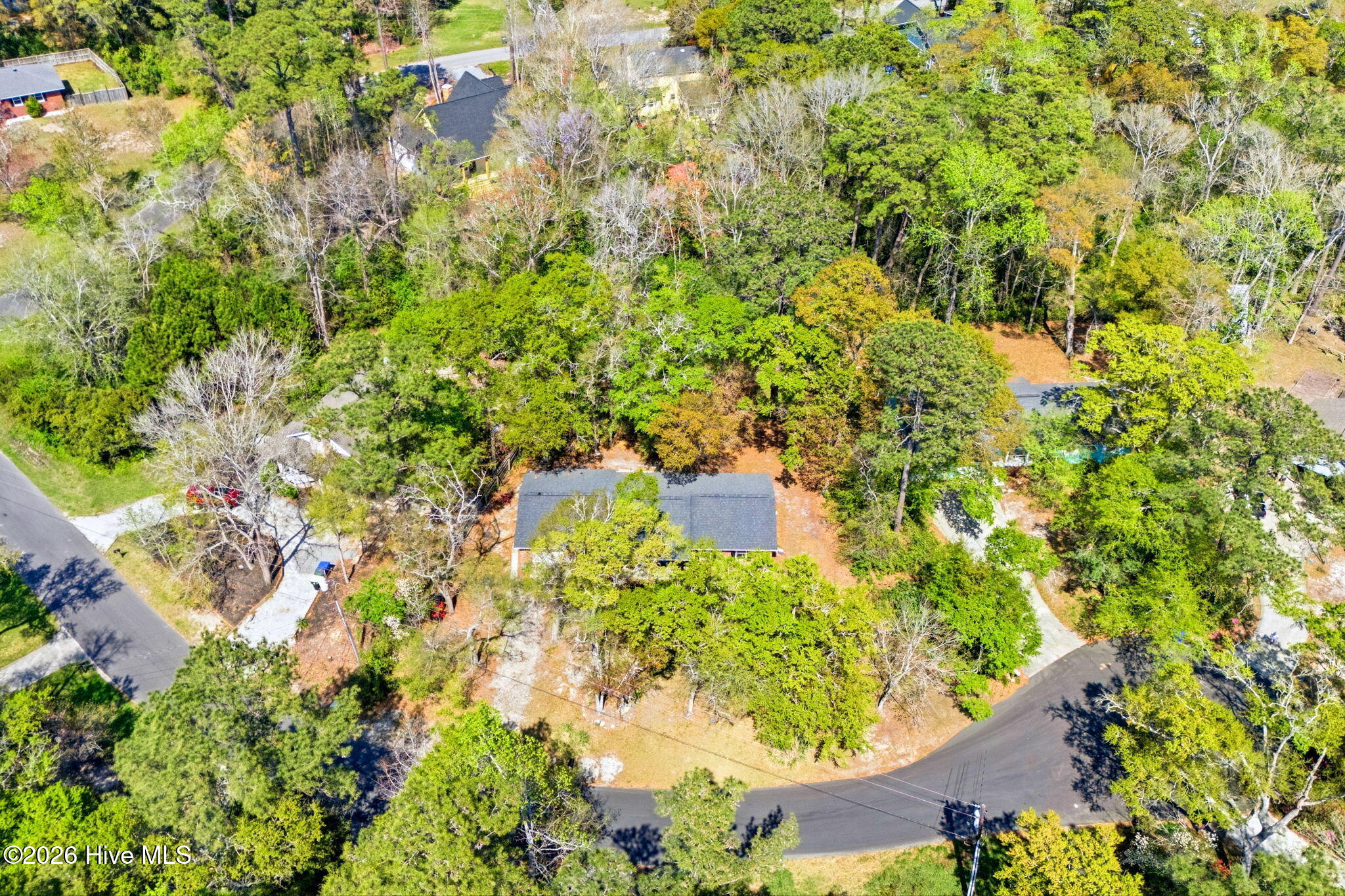 100564618 | Photo 11