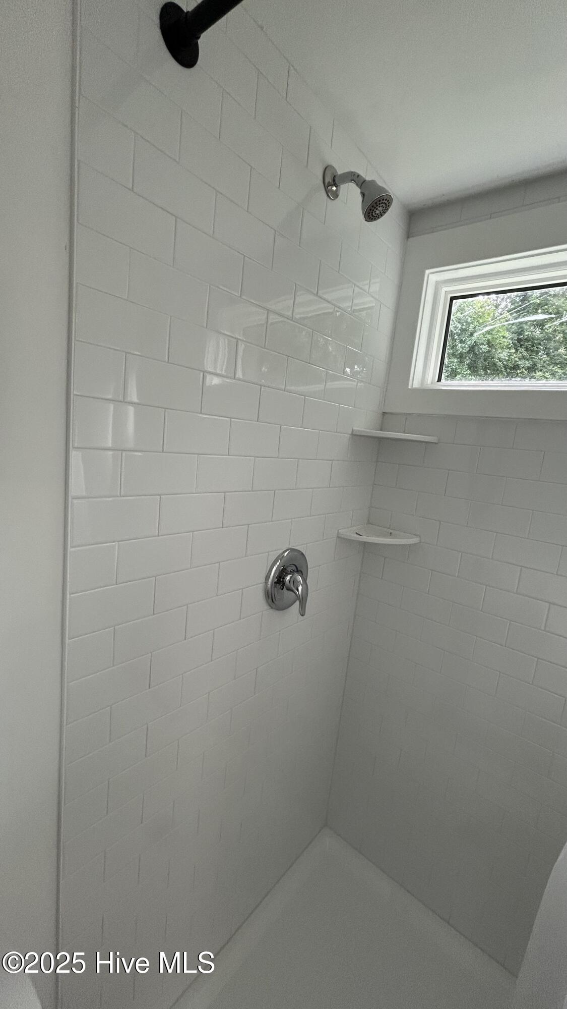 100559019 | Photo 12