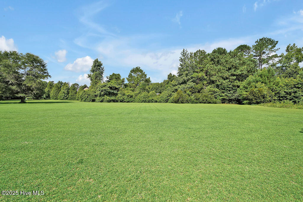 100521494 | Photo 45