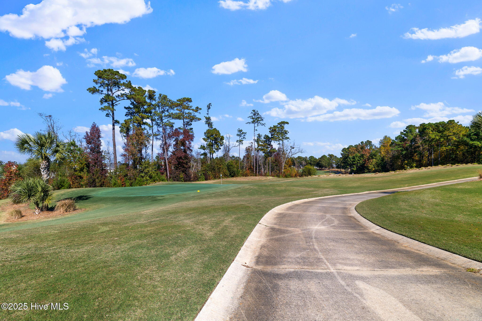 100540140 | Photo 53