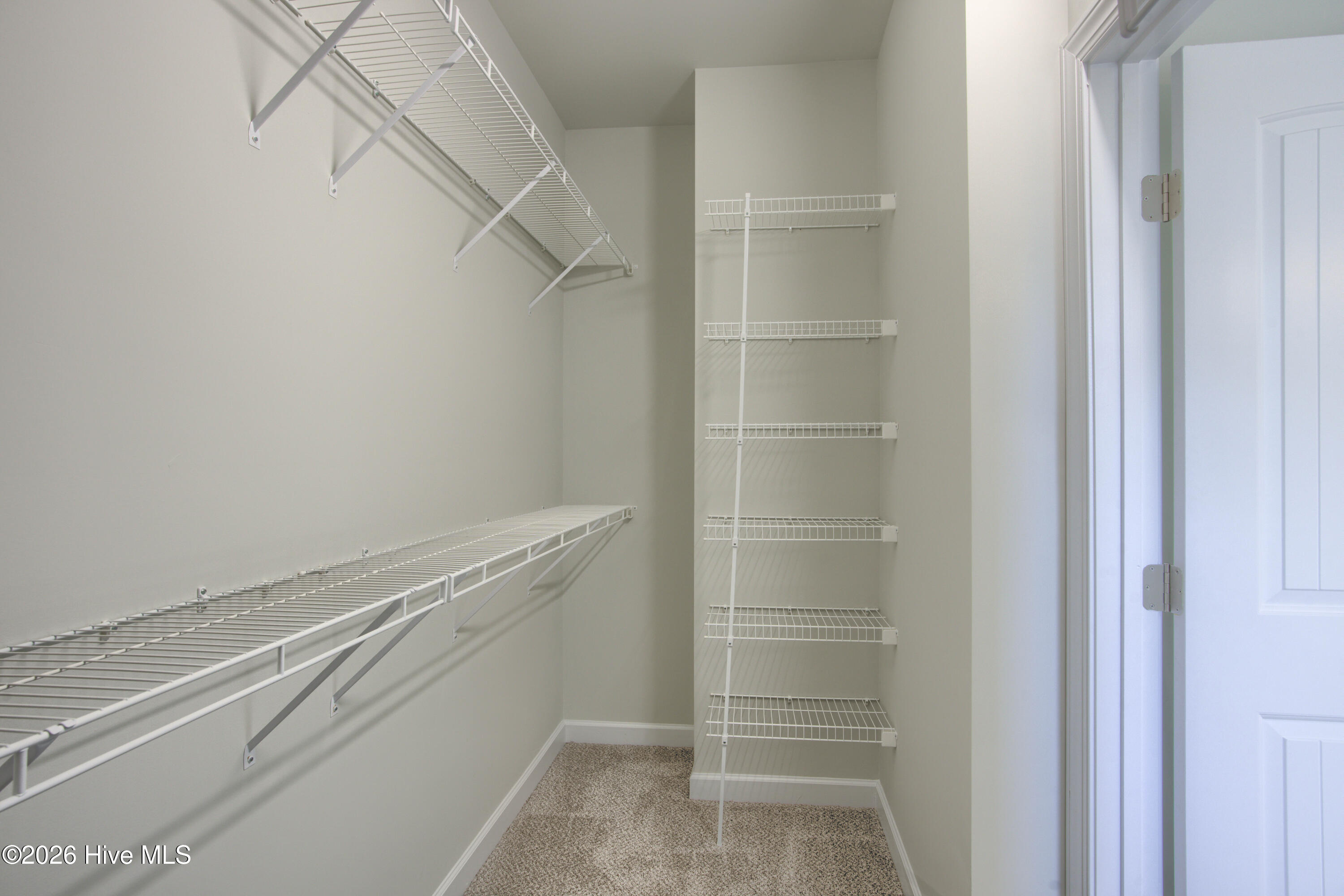 100526939 | Photo 21