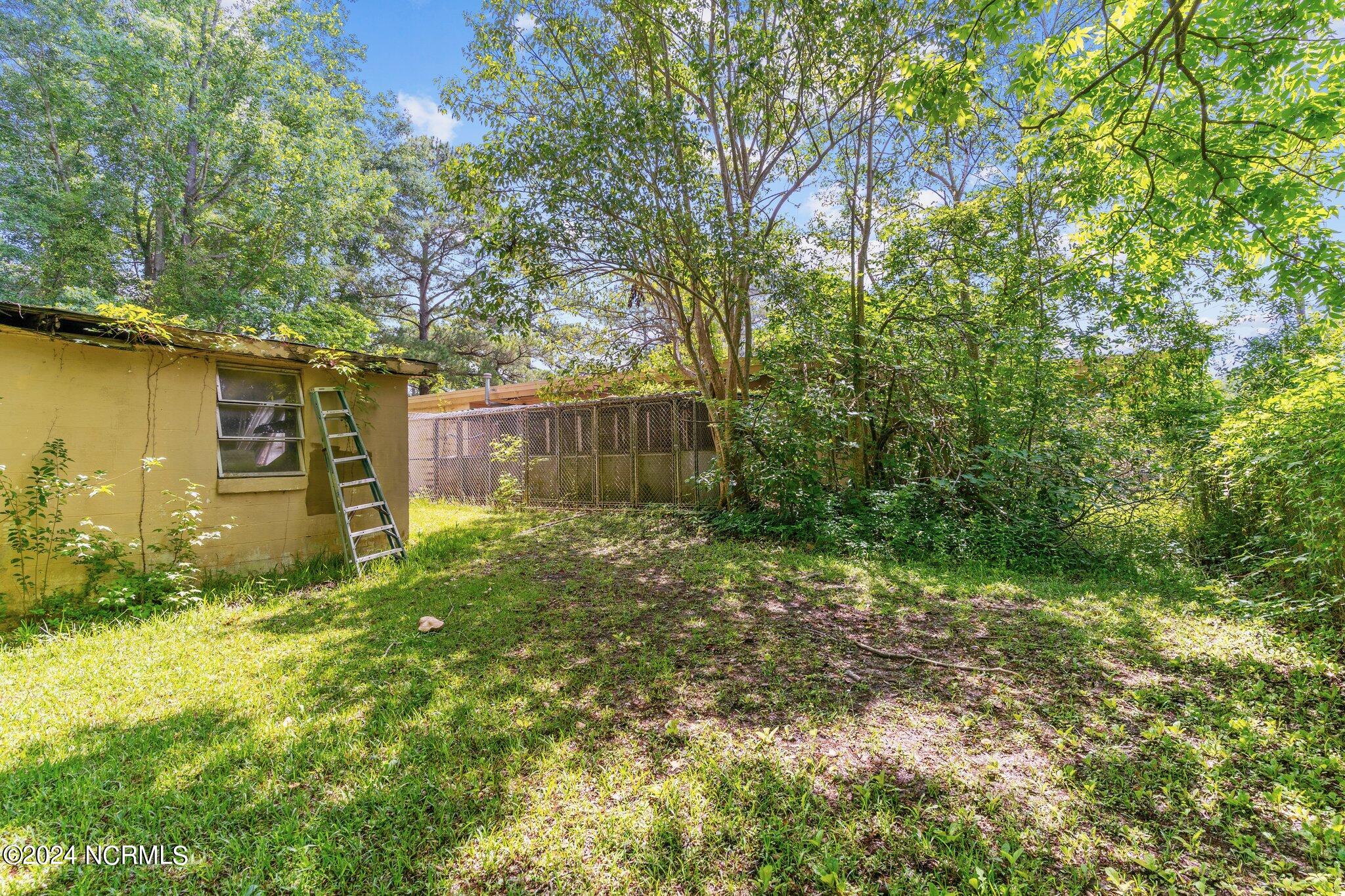 100517313 | Photo 47