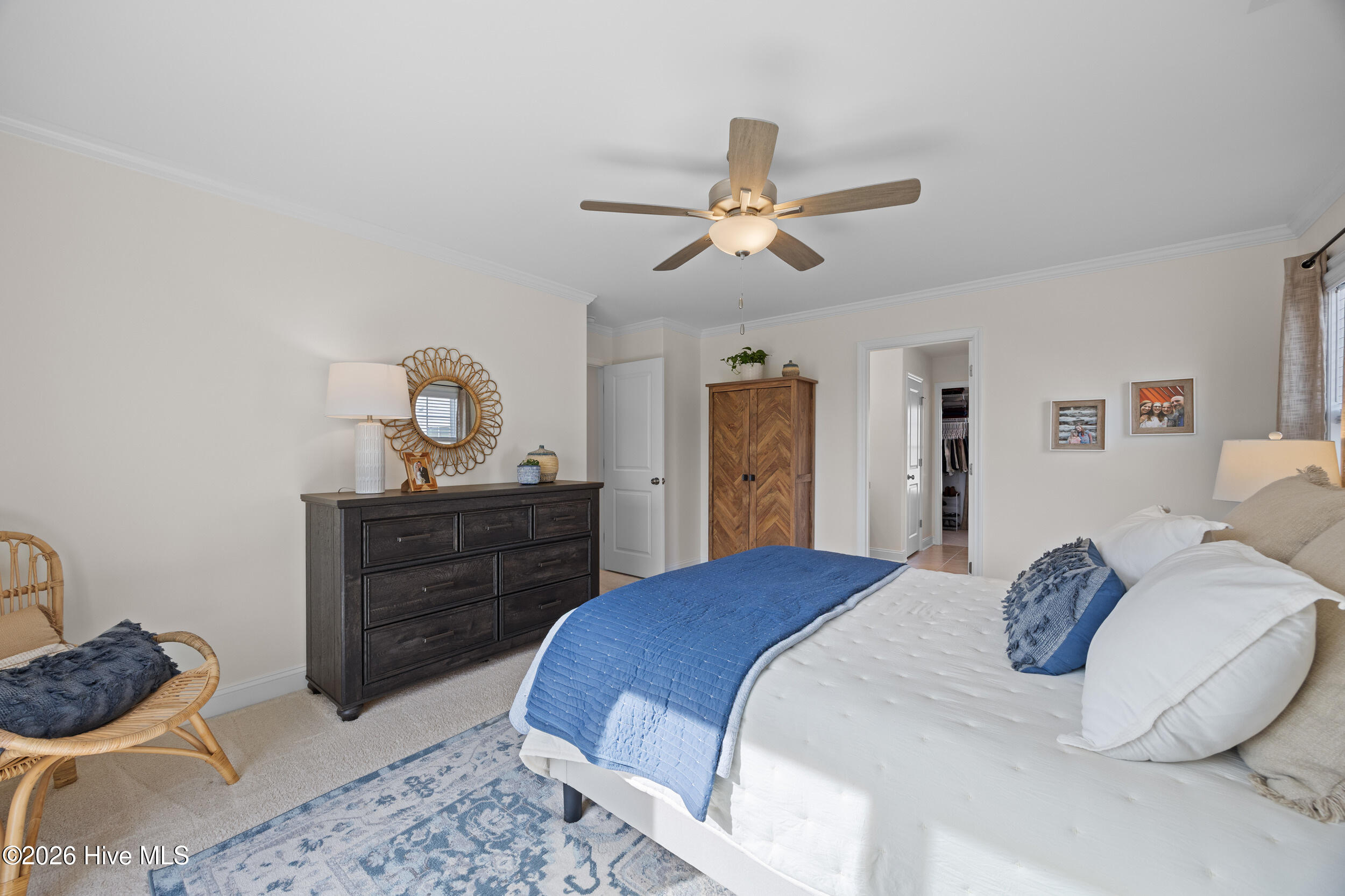 100555397 | Photo 32