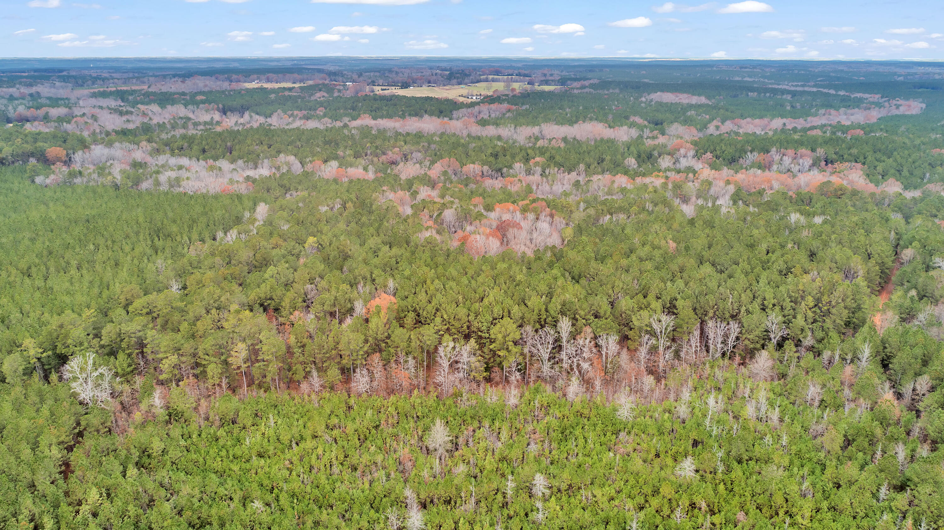 Saggus Rd land 121-007A, 400ft View, Dro