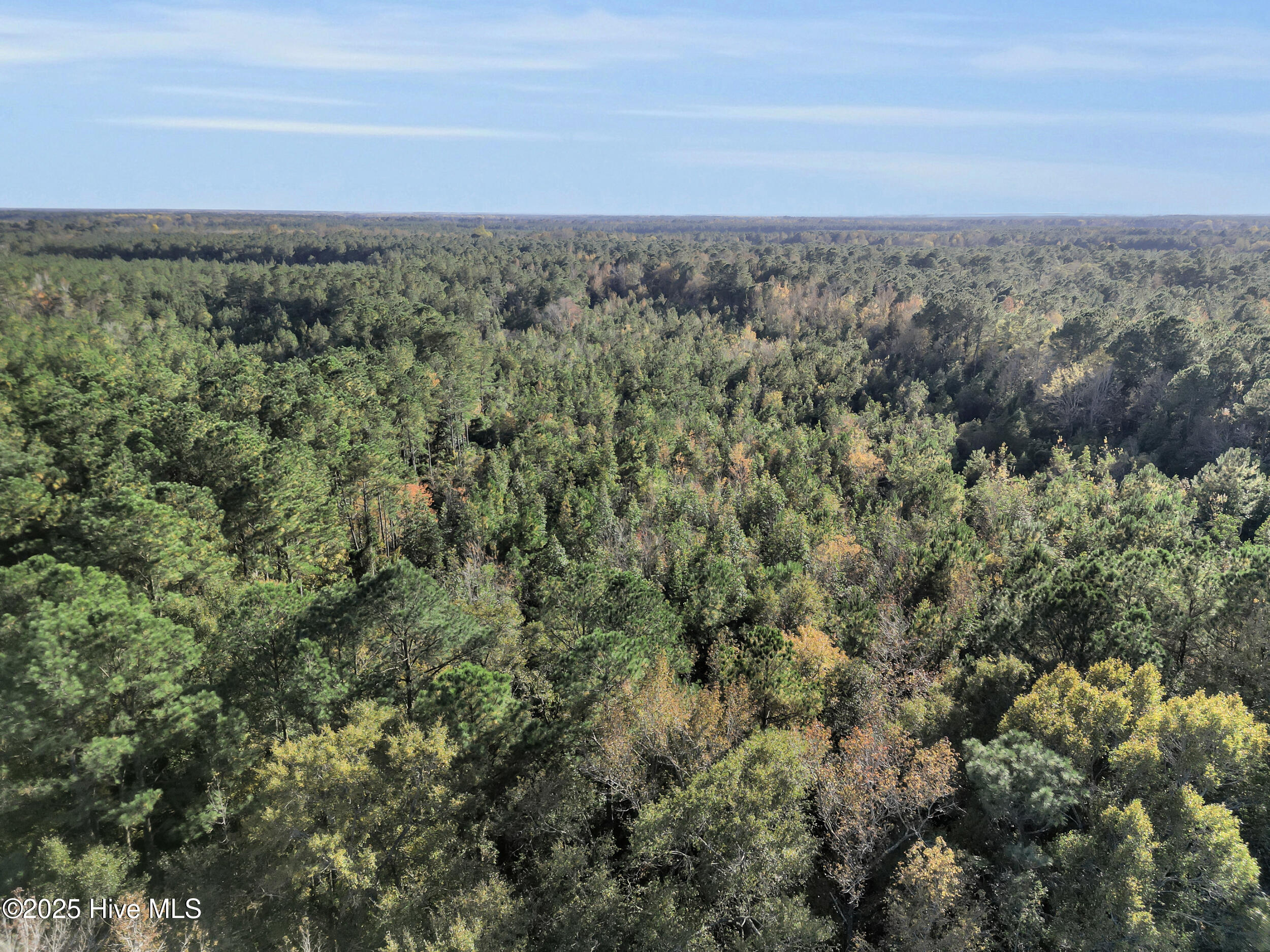 Homes for sale in Pink Hill, NC | 00 E Pleasant Hill Rd, Pink Hill, NC 28572 | MLS# 100540408