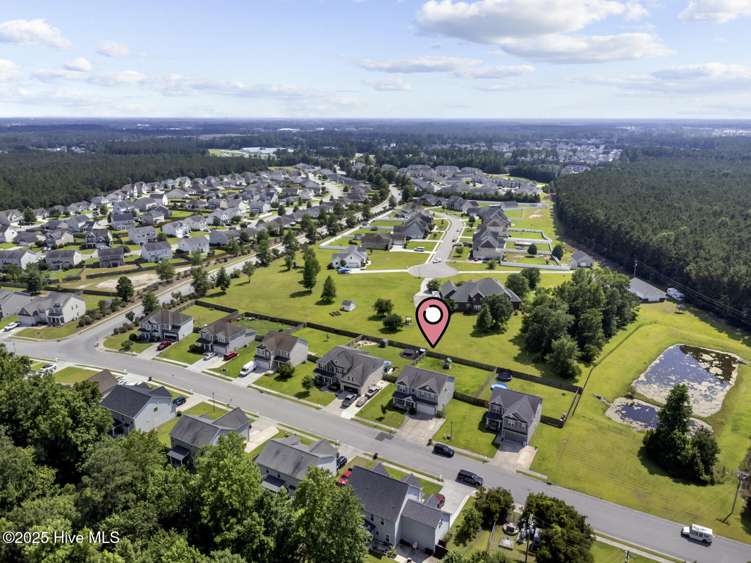 100506336 | Photo 40