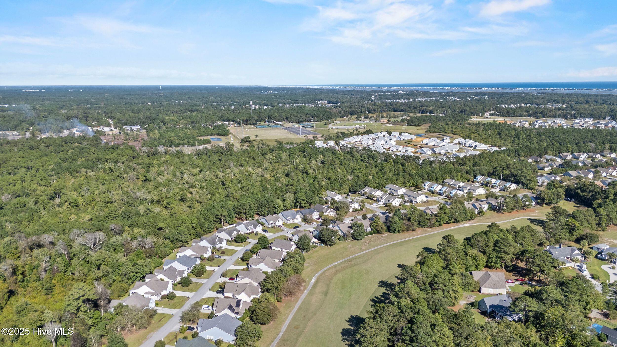 100535393 | Photo 46