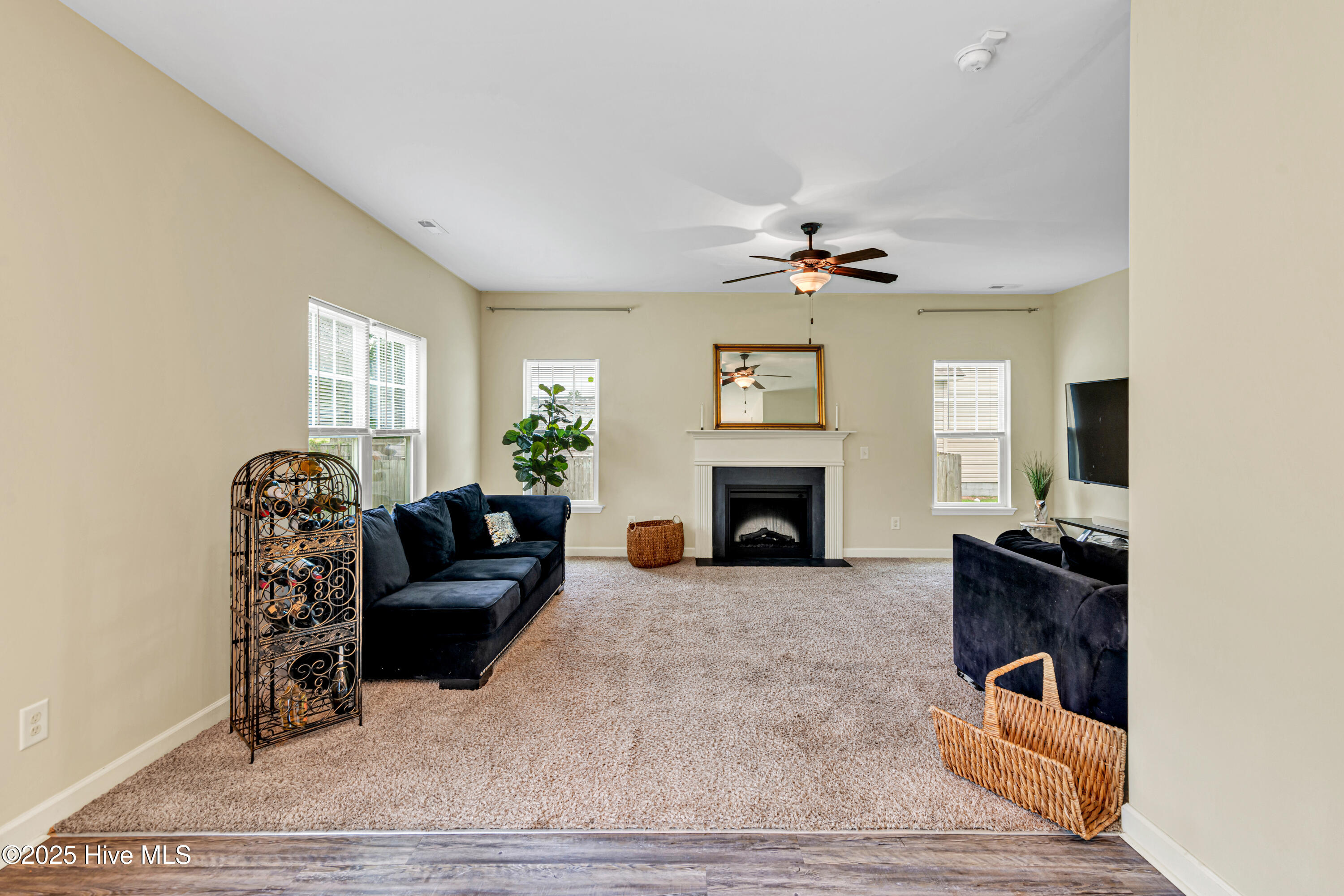 100531224 | Photo 19