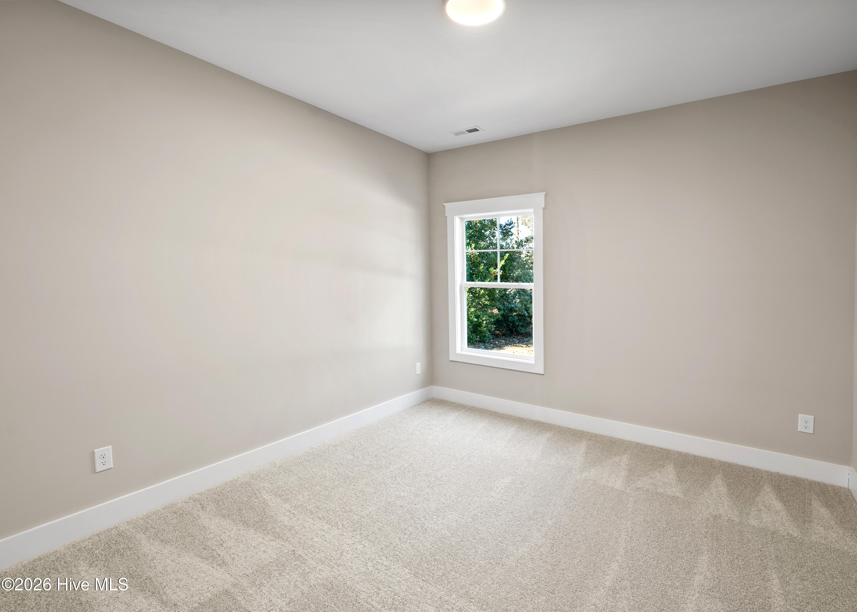 100553596 | Photo 24