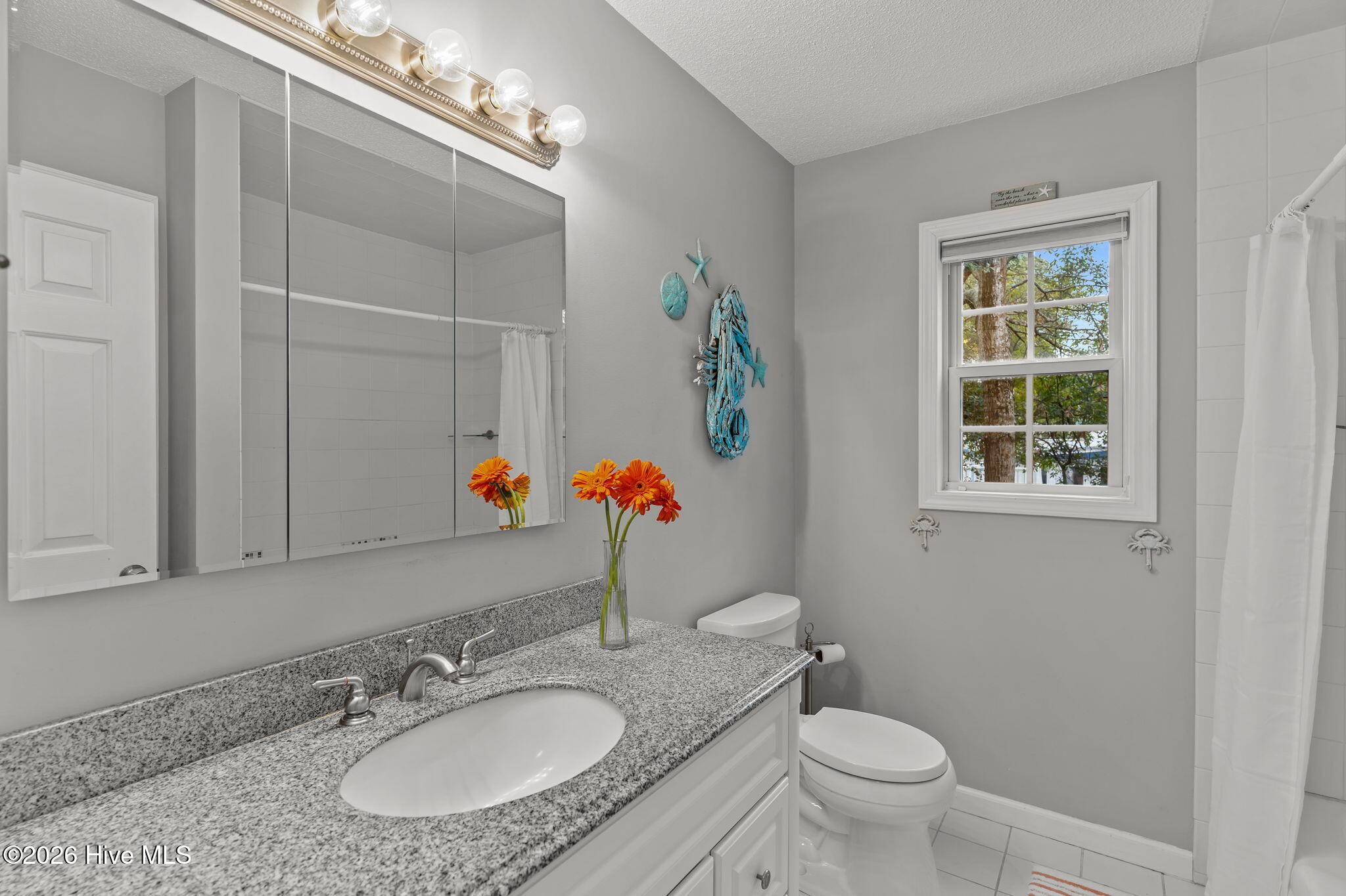 100555796 | Photo 39