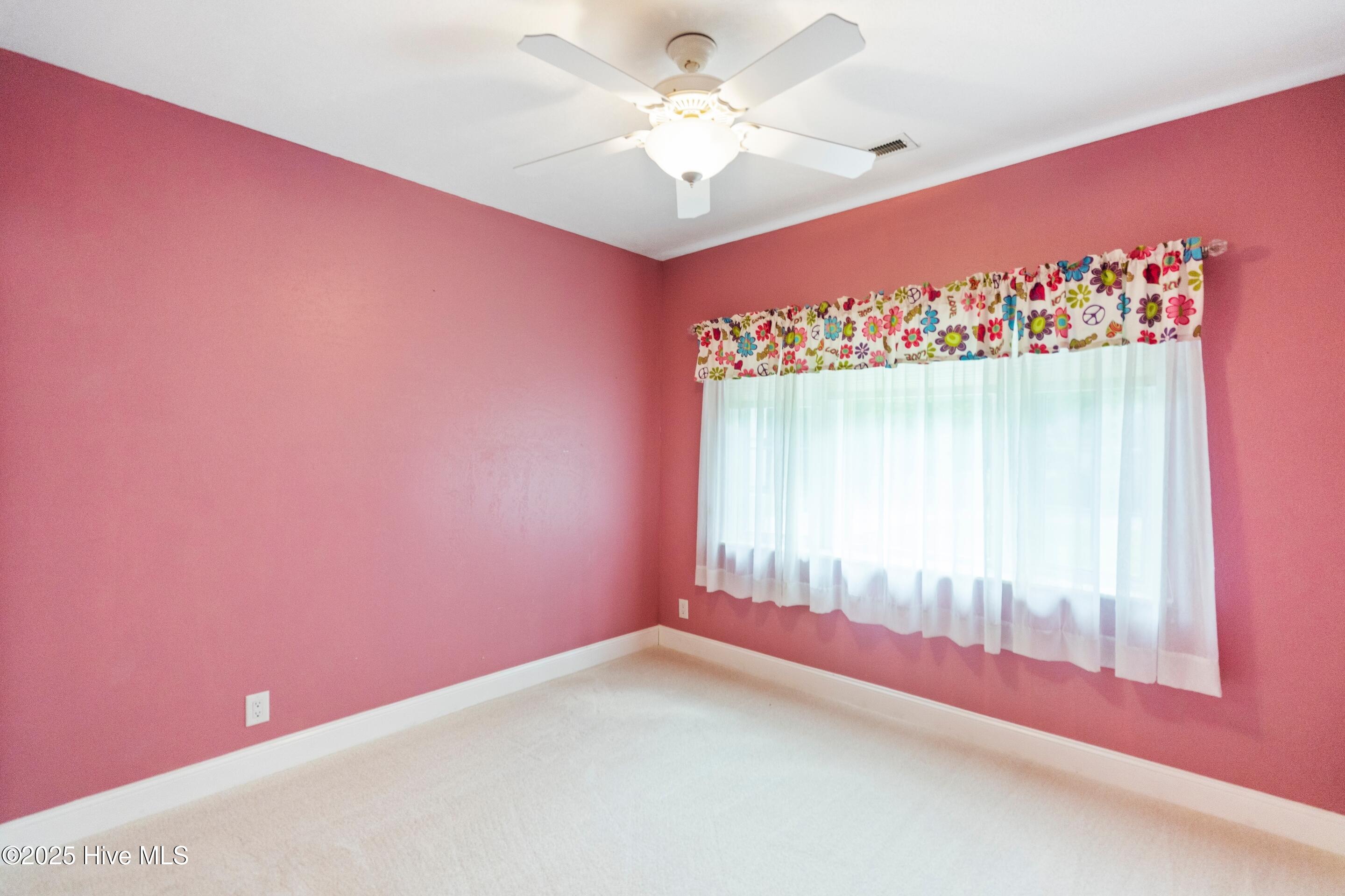 100503346 | Photo 41