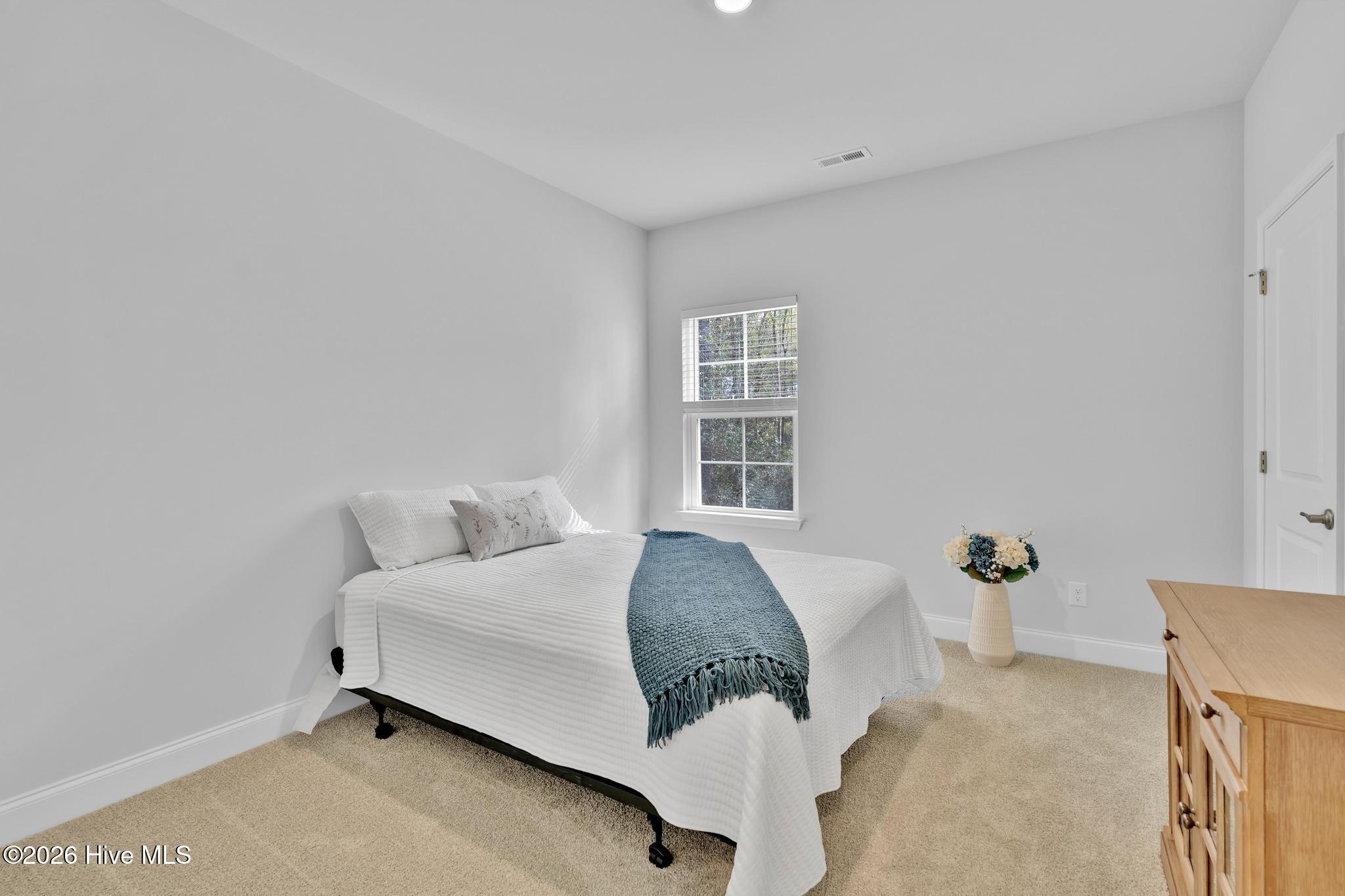 100553643 | Photo 23