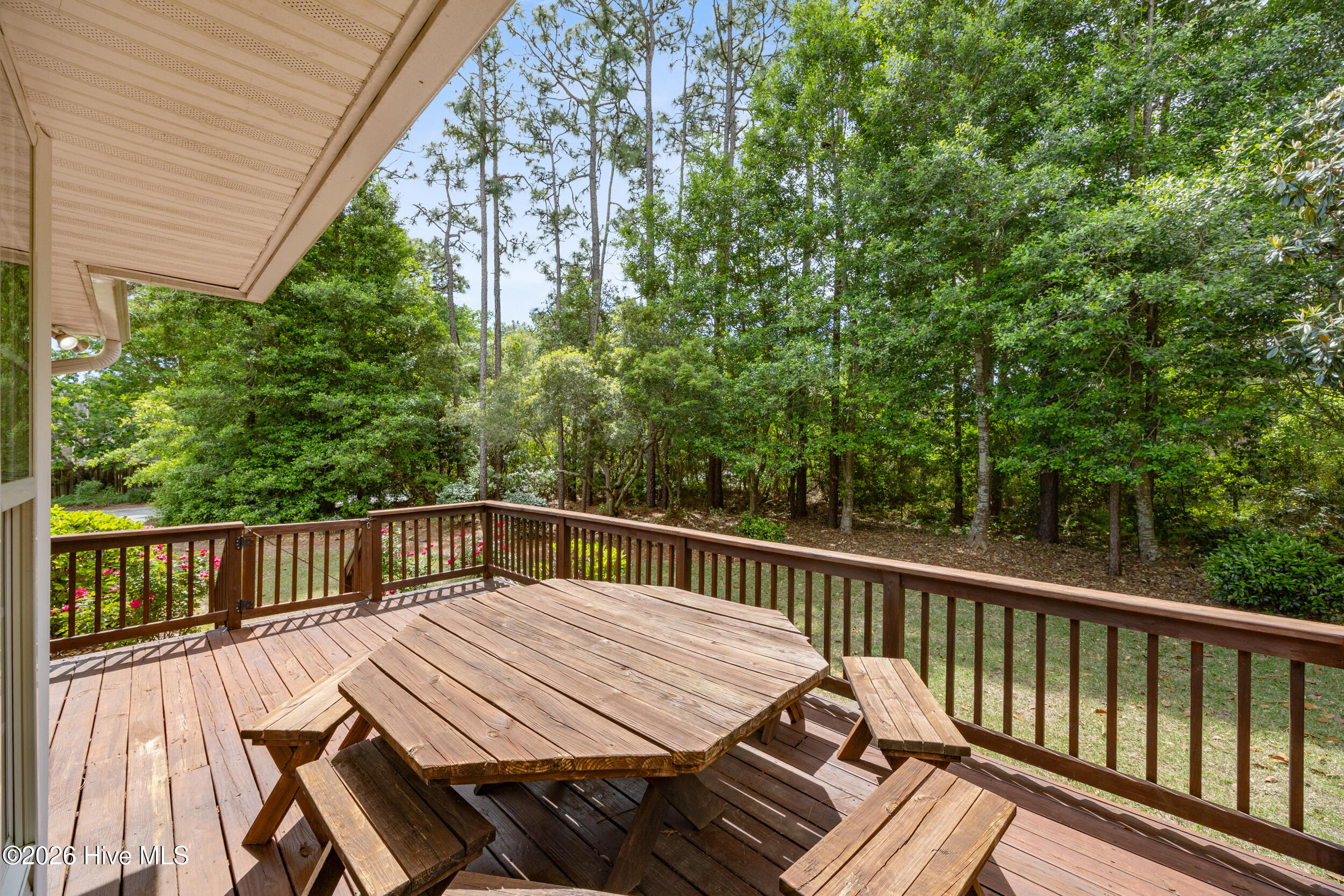 100564143 | Photo 33