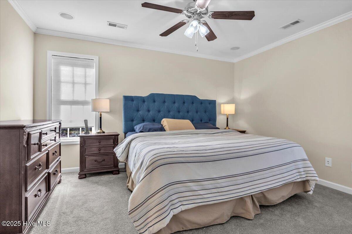 100546771 | Photo 22