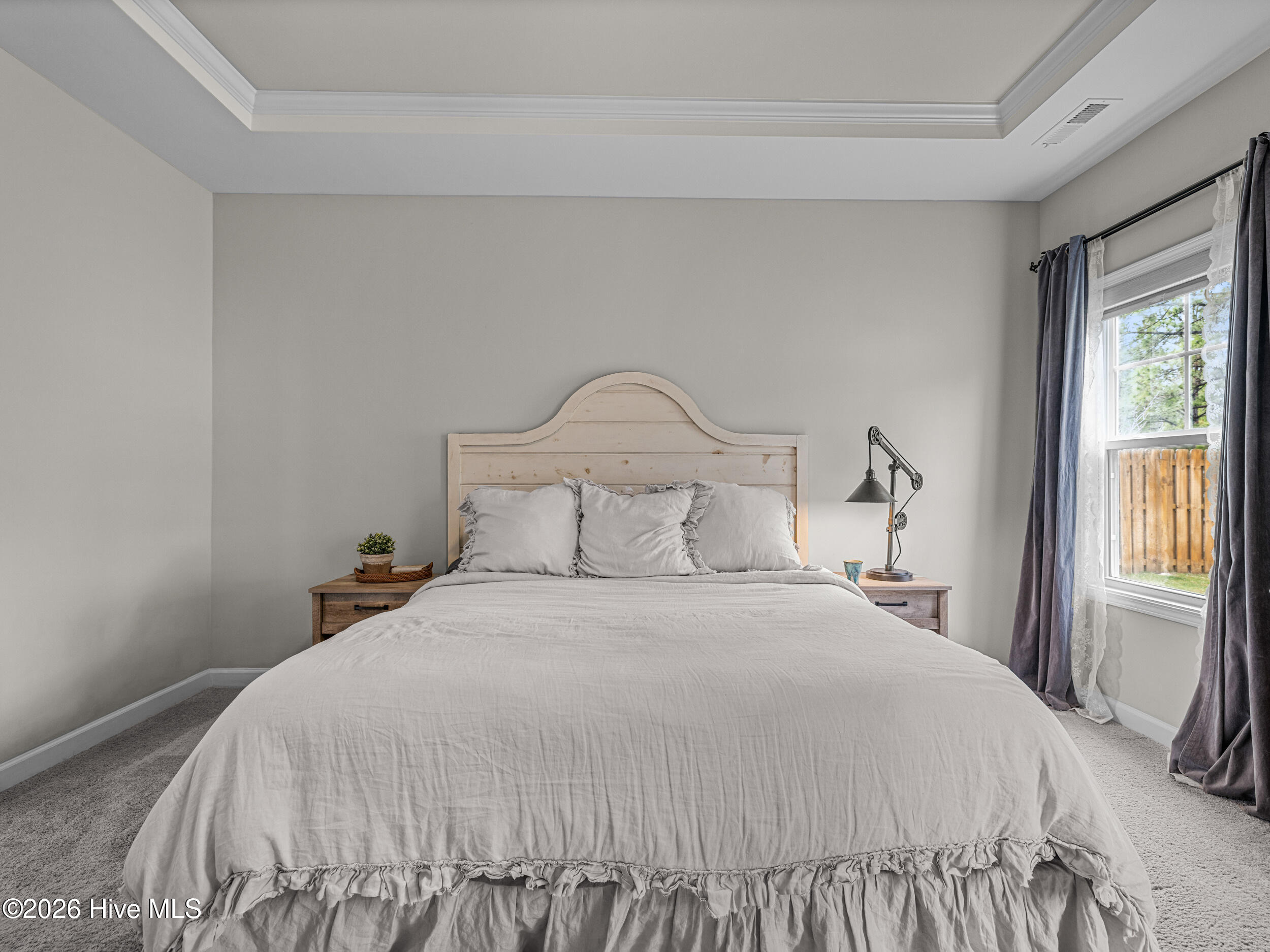 100558096 | Photo 31