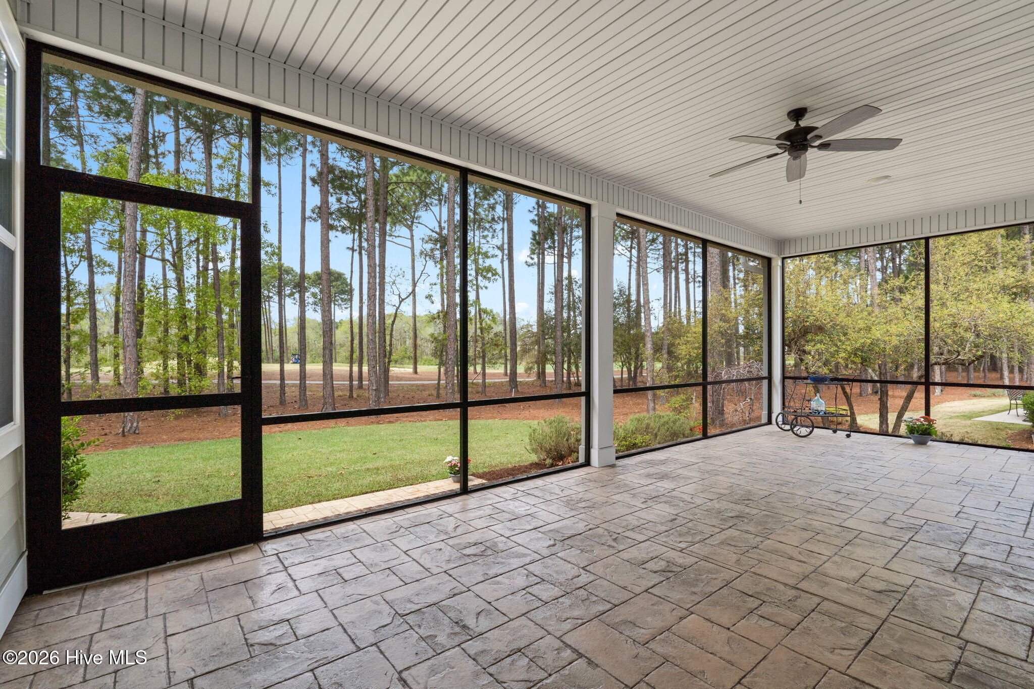 100566605 | Photo 41