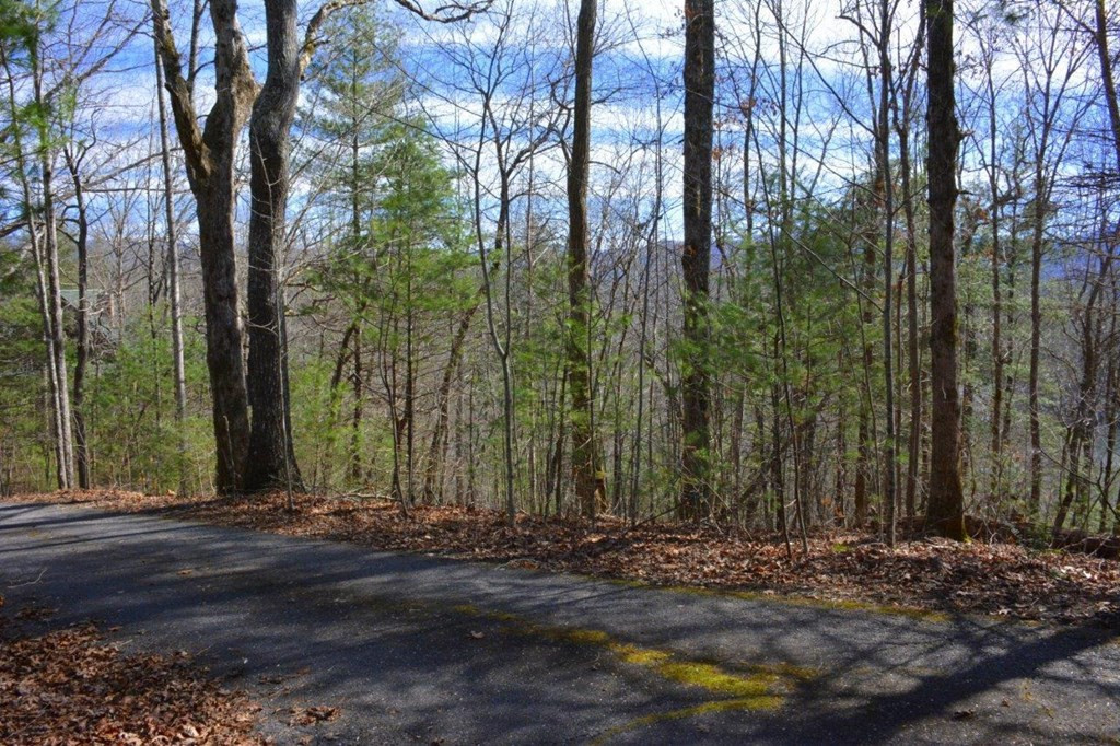 Exterior photo of 00 Chestnut Ridge, Robbinsville, NC 28771. MLS: 98524243