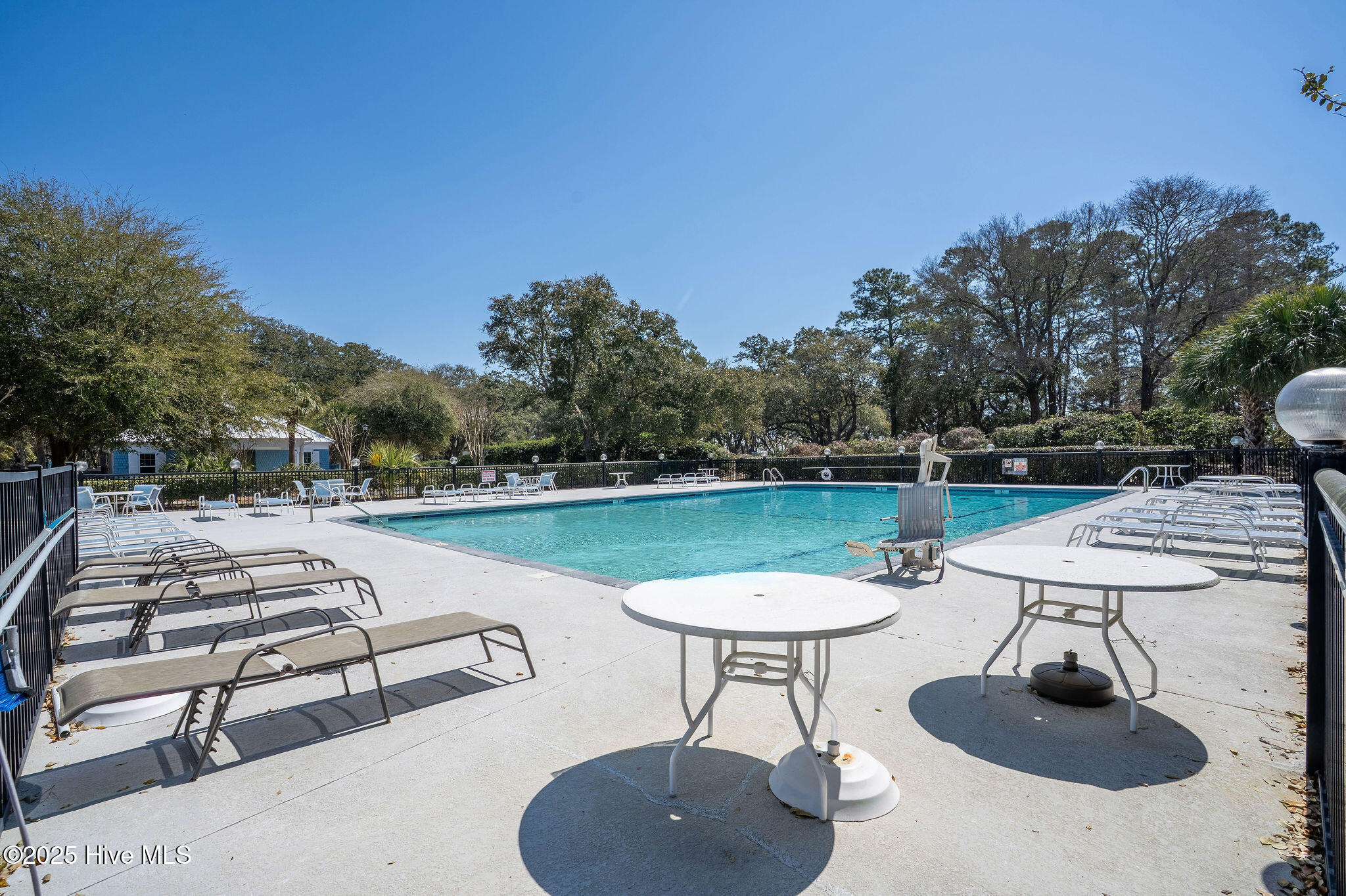 100488997 | Photo 109