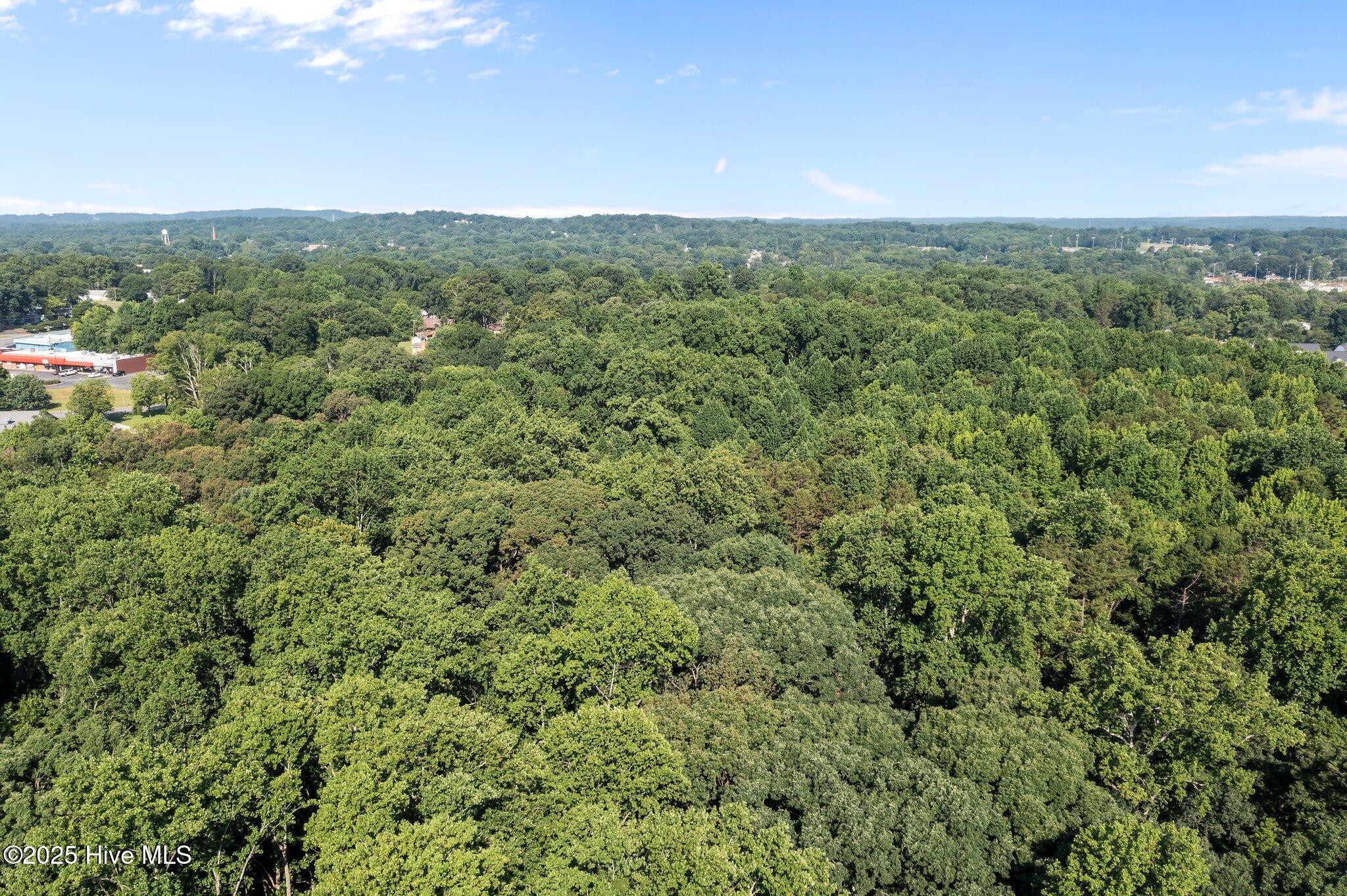 7-web-or-mls-208 Costner School rd EX 00