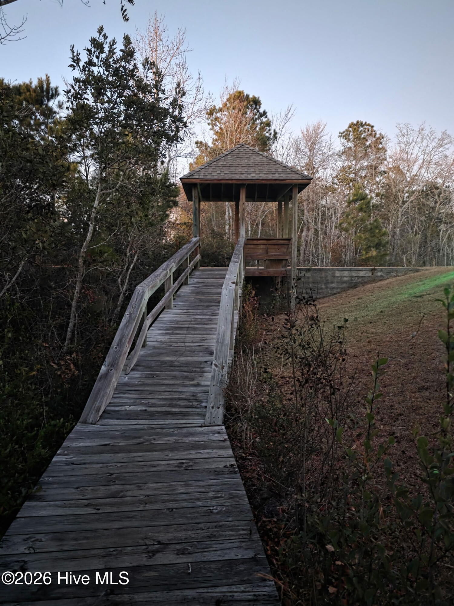 100549782 | Photo 51