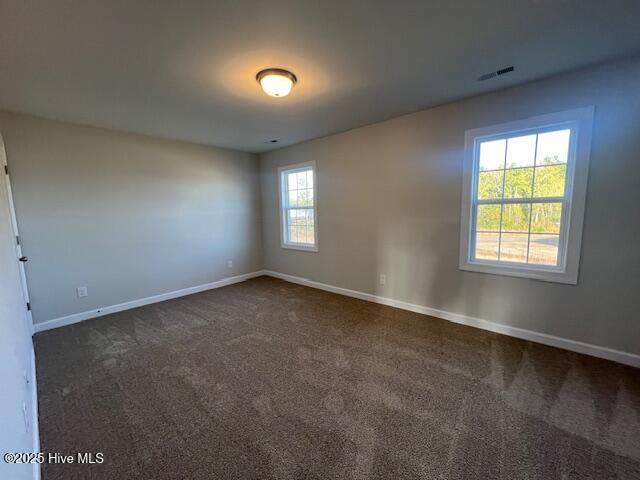 100563437 | Photo 13