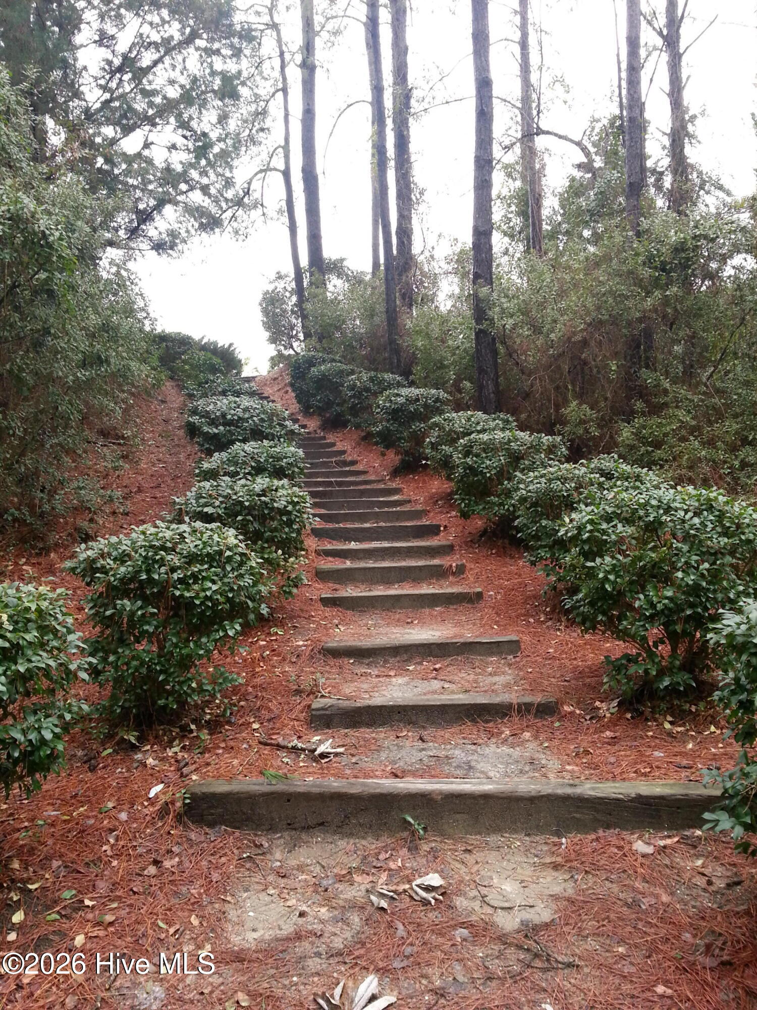 100564958 | Photo 38