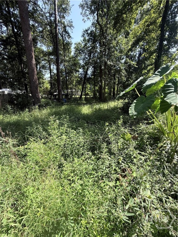 3rd image of 409 Dogwood Ln, Midway, GA 31320 | MLS# SA362799