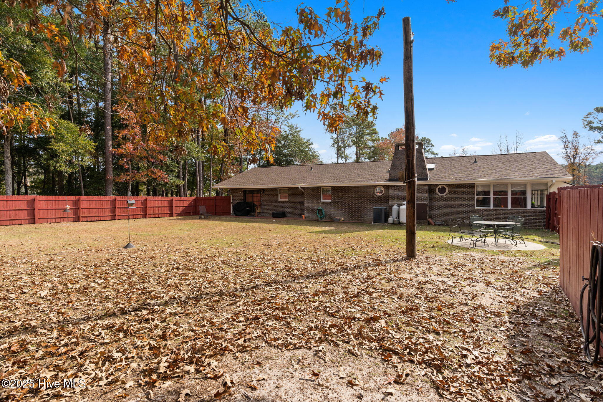 100543721 | Photo 47