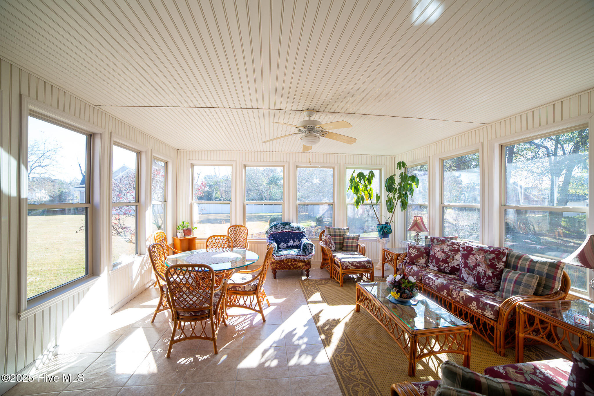 100545469 | Photo 19